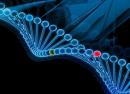 O genoma humano: como foi e como será