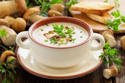 Recipes for cream soups in a blender