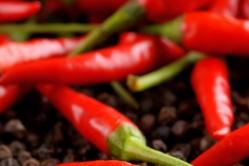 Cultivation of hot peppers Why hot peppers grew not hot